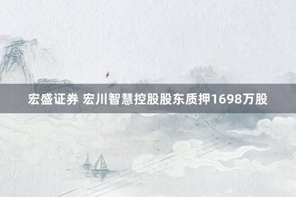 宏盛证券 宏川智慧控股股东质押1698万股