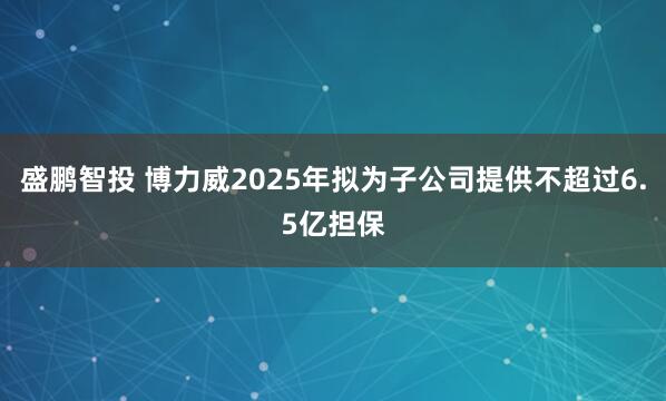 盛鹏智投 博力威2025年拟为子公司提供不超过6.5亿担保
