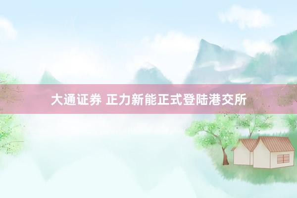 大通证券 正力新能正式登陆港交所