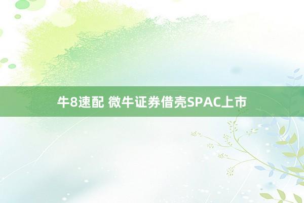 牛8速配 微牛证券借壳SPAC上市