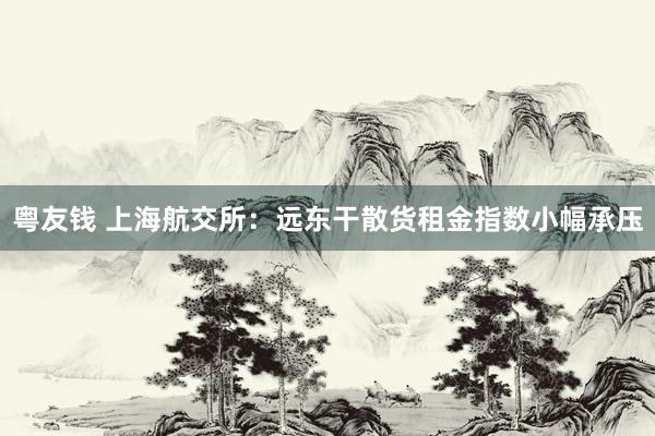 粤友钱 上海航交所：远东干散货租金指数小幅承压