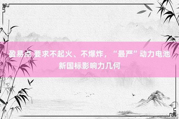 盈易点 要求不起火、不爆炸，“最严”动力电池新国标影响力几何