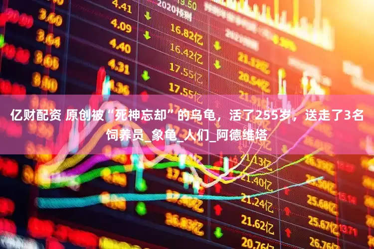 亿财配资 原创被“死神忘却”的乌龟，活了255岁，送走了3名饲养员_象龟_人们_阿德维塔