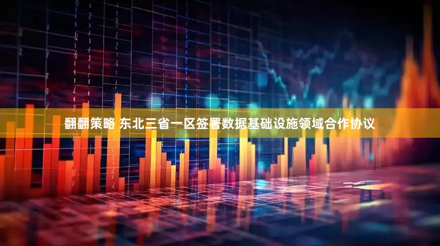 翻翻策略 东北三省一区签署数据基础设施领域合作协议