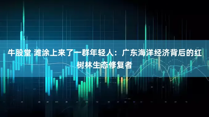 牛股堂 滩涂上来了一群年轻人：广东海洋经济背后的红树林生态修复者