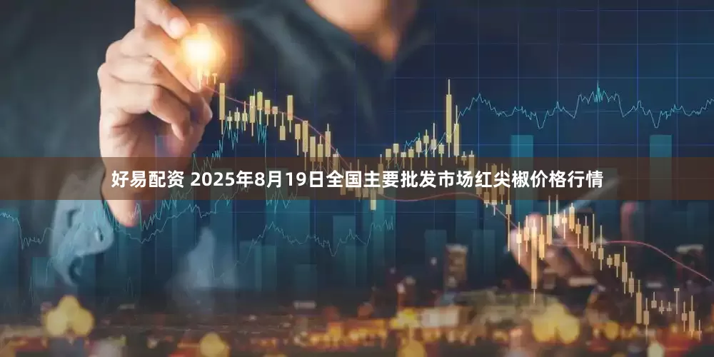 好易配资 2025年8月19日全国主要批发市场红尖椒价格行情